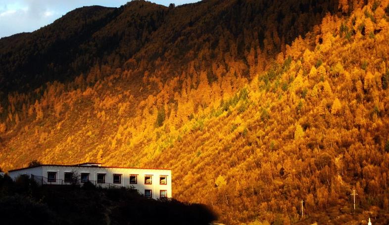 成都、四姑娘山、長(zhǎng)坪溝3日自駕游